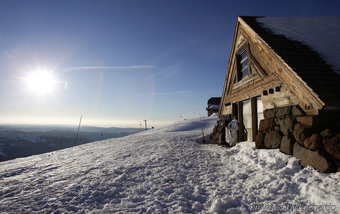 Timberline Lodge Resort Timberline