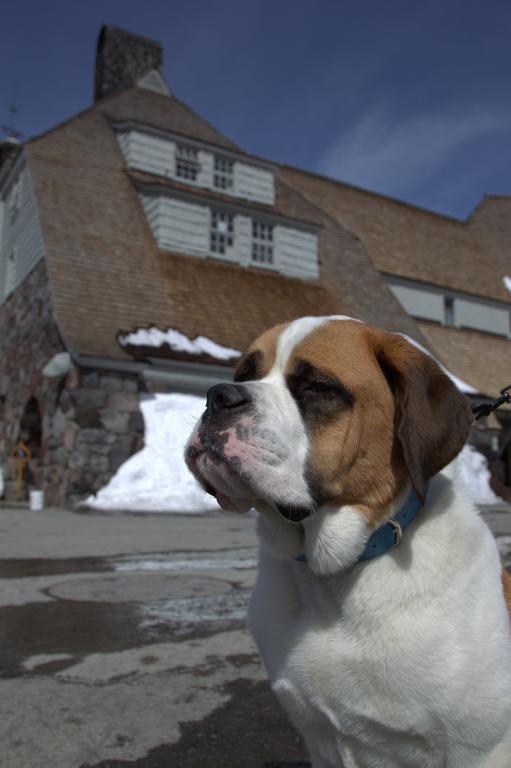 Resort Timberline Lodge