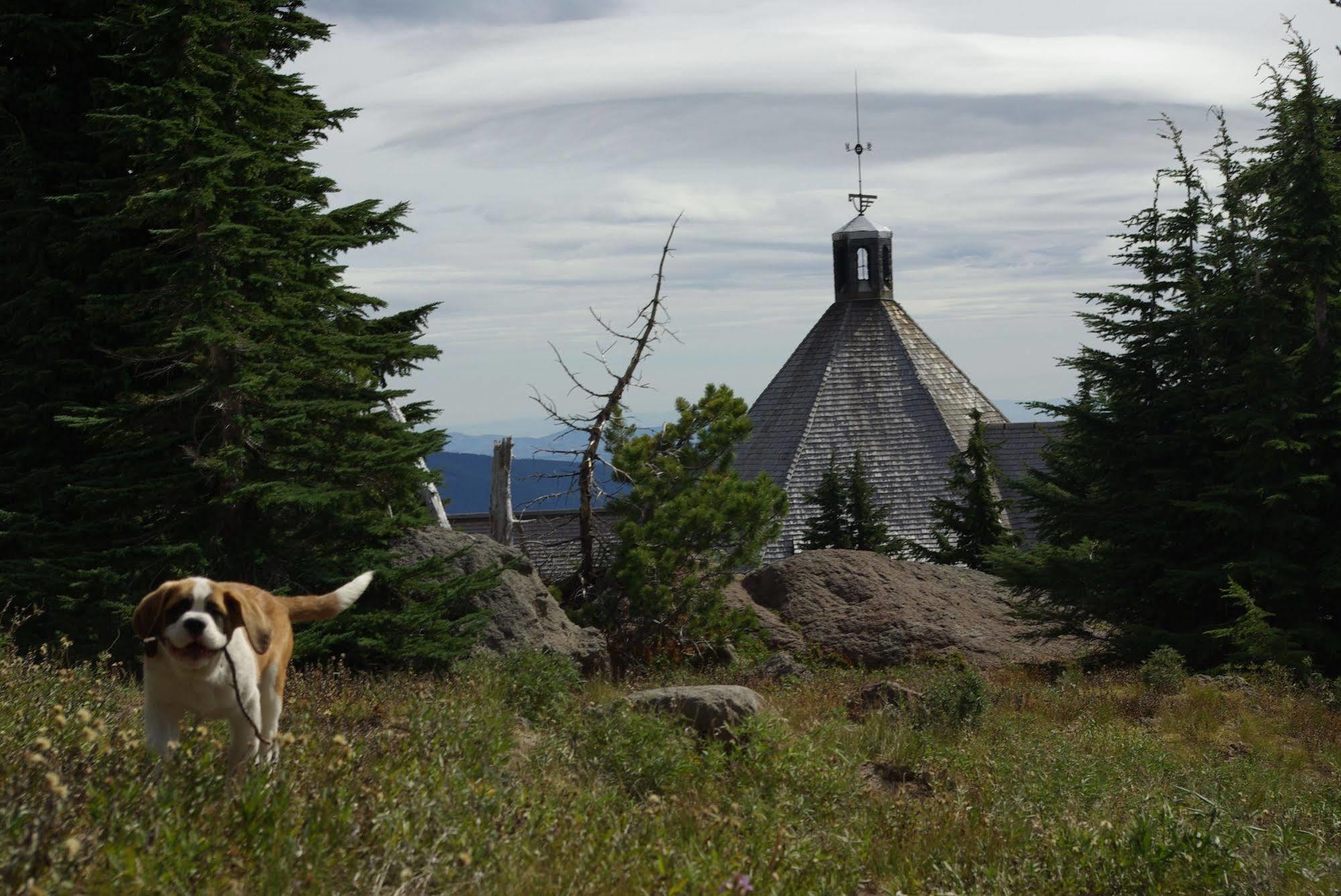 Timberline Lodge Timberline